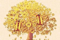 最近财运很不好怎么办