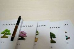 12星座职场人士开运风水 助你催旺桃花运