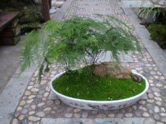 民间秘方一夜不泄风水旺财方法烟雨江湖钱庄风