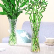 民间秘法招财法术没有偏财运怎么破个人怎样催