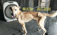 财运不济的寓意财运不顺怎么办