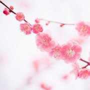 排大运怎么解读怎么排大运如何增加财运烟雨江