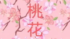 千古不传的求财秘诀如何增加财运的方法被借运