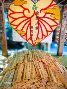 求学业进步念什么经求学业的佛经学业菩萨