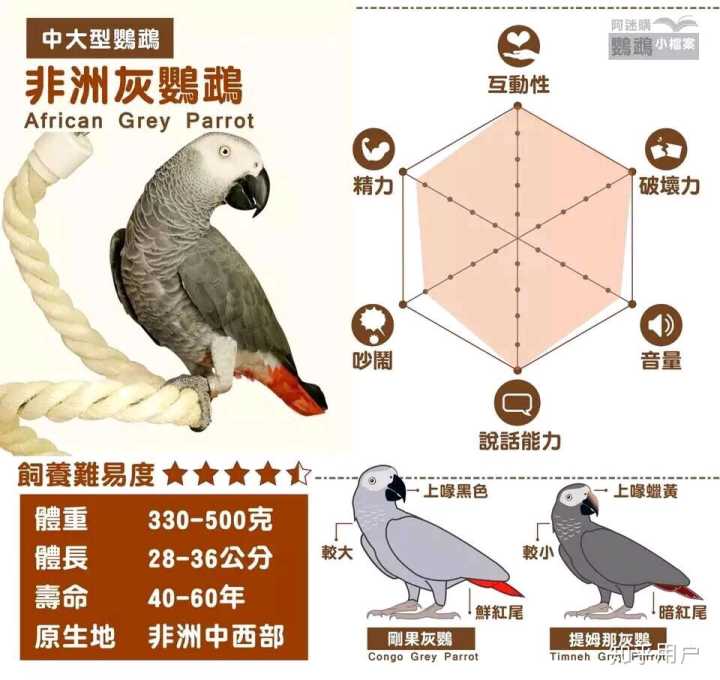 增加事业运的头像江同福风水改运