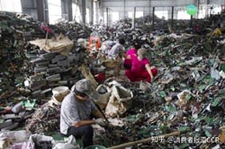集美转运曰本免费网站