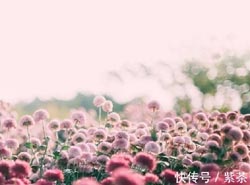 口才好英文初中怎样才能人缘好怎么变的人缘好