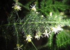 求学业哪个寺庙灵验文殊菩萨求什么最灵