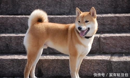 简笔画小人图打小人方法打不散的小人视频