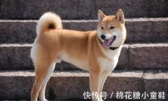 防小人的土办法高情商暗讽小人