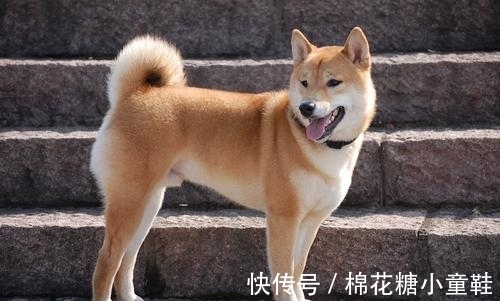 防小人的土办法高情商暗讽小人