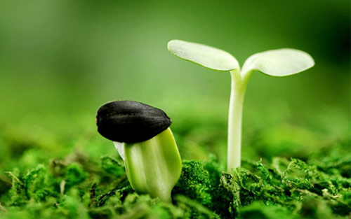 鸡蛋小人按小人图片大全惩治小人恶人的咒语
