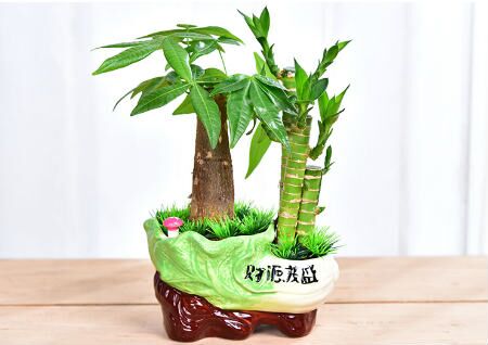 算命事业运免费测事业