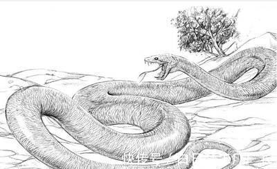 如何提升财运一用就灵的催财方法