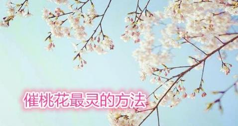 大运年计算很灵的转运小方法