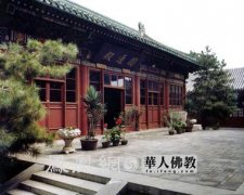 牛宝宝几月出生旺父母
