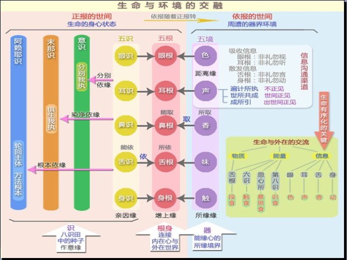 79年属羊的女人做什么生意好