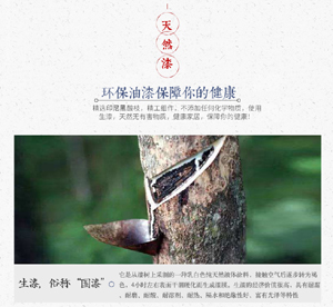 职业赌徒为什么能够长期赢钱