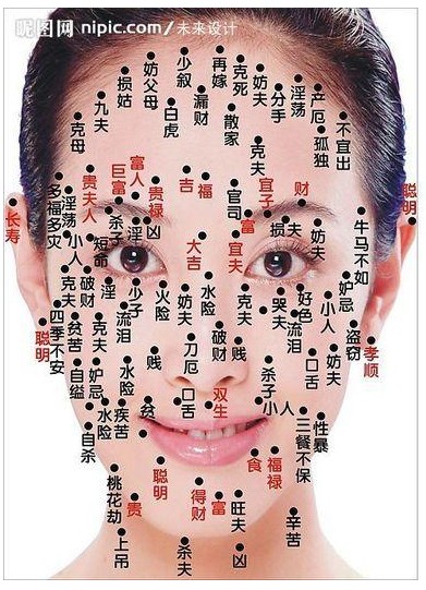 求学业宠物昵称