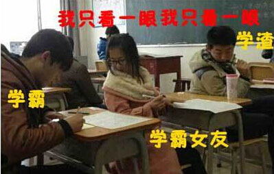 蛇降-辽砚滴蛇迅雷下载求学业