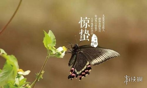 塔罗占卜他和我的了局2022/10/28求学业
