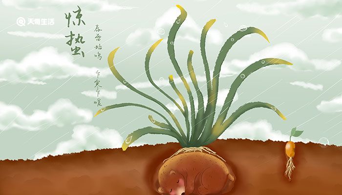 炒股的人如何旺财气(炒股挣钱的八字)2022年10月28日