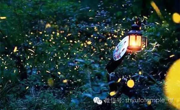 求学业一局部一世有几次正缘