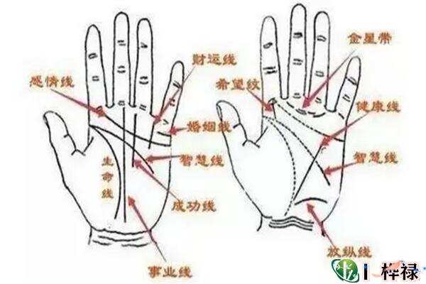 求学业87年兔女黯淡的运谈