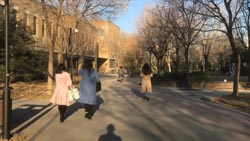 1月4日流星雨-流星雨的时间早先吧，有许多啊1月4日？？求学业