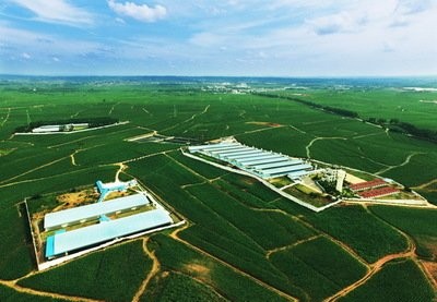 十二星座的特地才华求学业