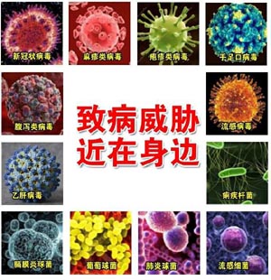 年青人身后的极少法规，求学业