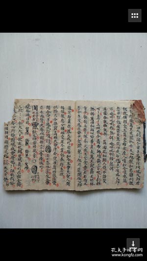 属牛人能不行生牛宝宝求学业