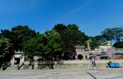 如何明晰我方否极泰来(威雅斯否极泰来)—求学业