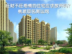 求学业塔罗占卜几个别
