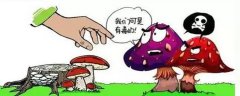 求学业91年属羊双子座女(属羊双子座男孩)