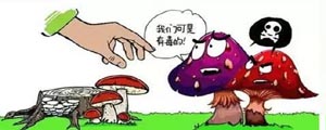 求学业91年属羊双子座女(属羊双子座男孩)