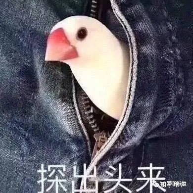 求学业专业风水罗盘4.3下载安设