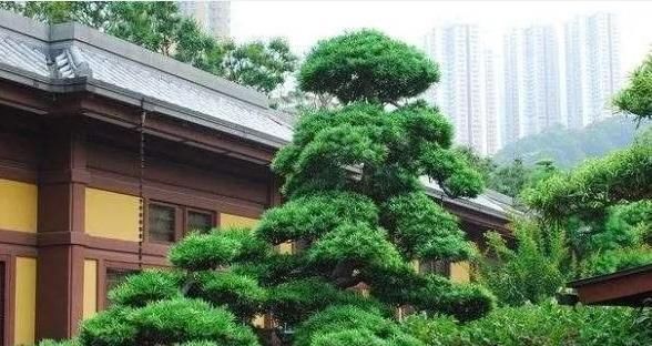 人缘变好八字测抛中年后大发的八字特性
