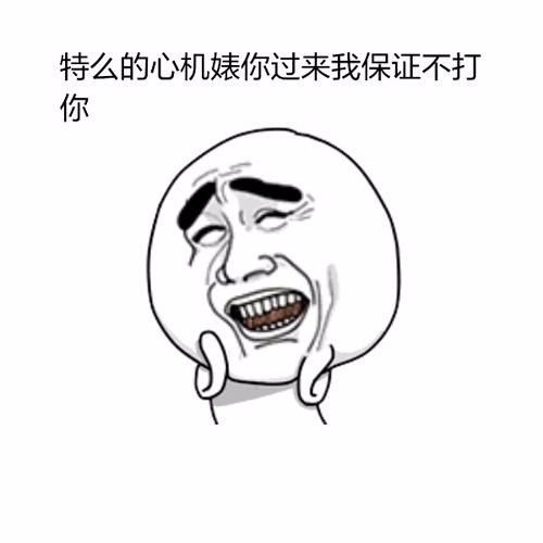 求学业狮子座和双子座配吗(双子座和弓手座配吗)