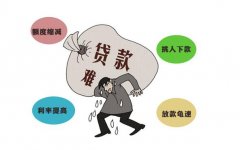 2013年是什么生肖年？求学业