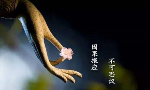 阴历十月出生的男生命局运势—人缘变好