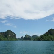 84属鼠2020年每月运势，求学业