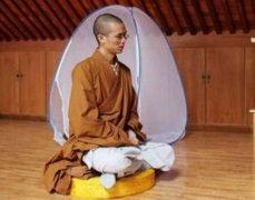 求学业马爸爸和牛宝宝若何化解