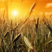 一位八字能手的独白2022年10月31日