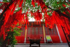 10月是什么星座求学业