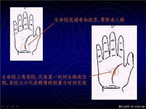 张清销售老毕后的下场-张清老毕事变真的是做什么？！求学业