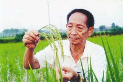 七遍排除全盘快病咒求学业