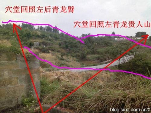 求学业唐立淇2020年星座运势