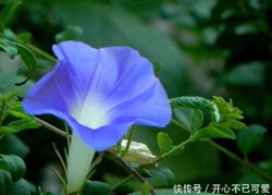 求学业测迩来你什么运势最好