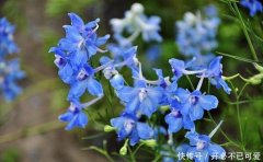 2021巨蟹座大预言求学业